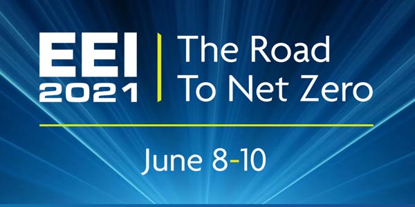 EEI The Road to Net Zero