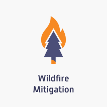 plte-wildfire-mitigation